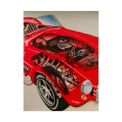 "cobra phantom" airbrush rolled print