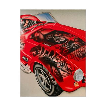 "cobra phantom" airbrush rolled print