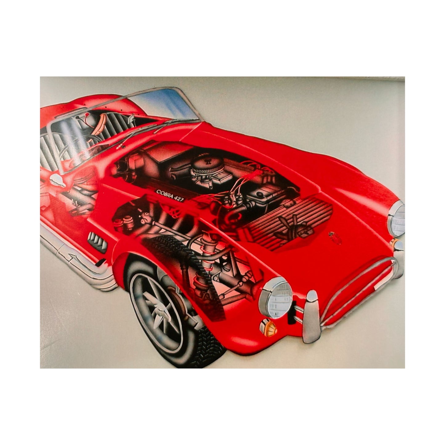 "cobra phantom" airbrush horizontal print