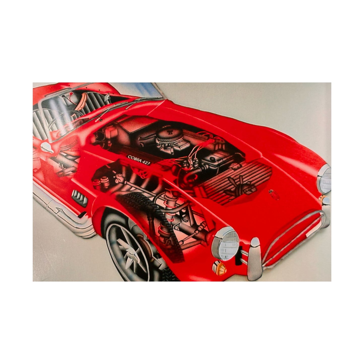 "cobra phantom" airbrush horizontal print